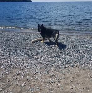 Meet your Posher, Cecile stuart